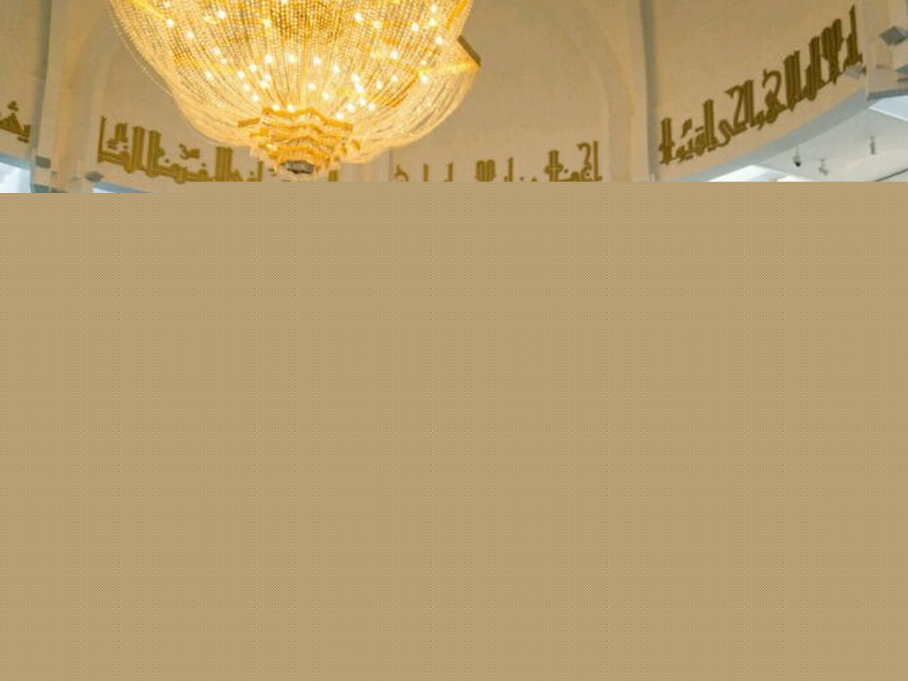 Des dizaines de musulmans à la prière pour la France à la Grande Mosquée de Lyon