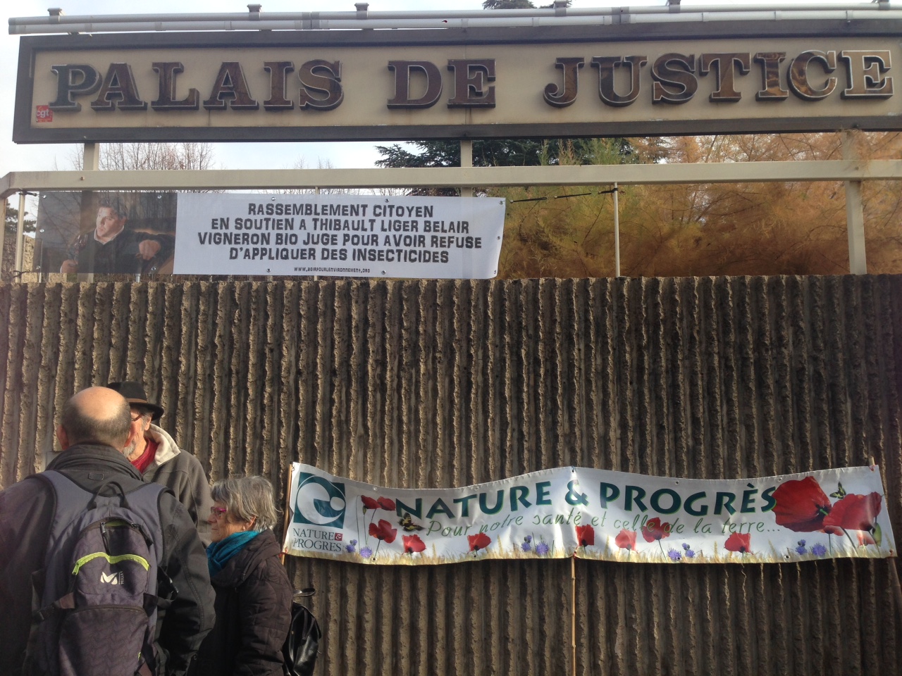 Rhône : le vigneron qui avait refusé de traiter ses vignes a été relaxé