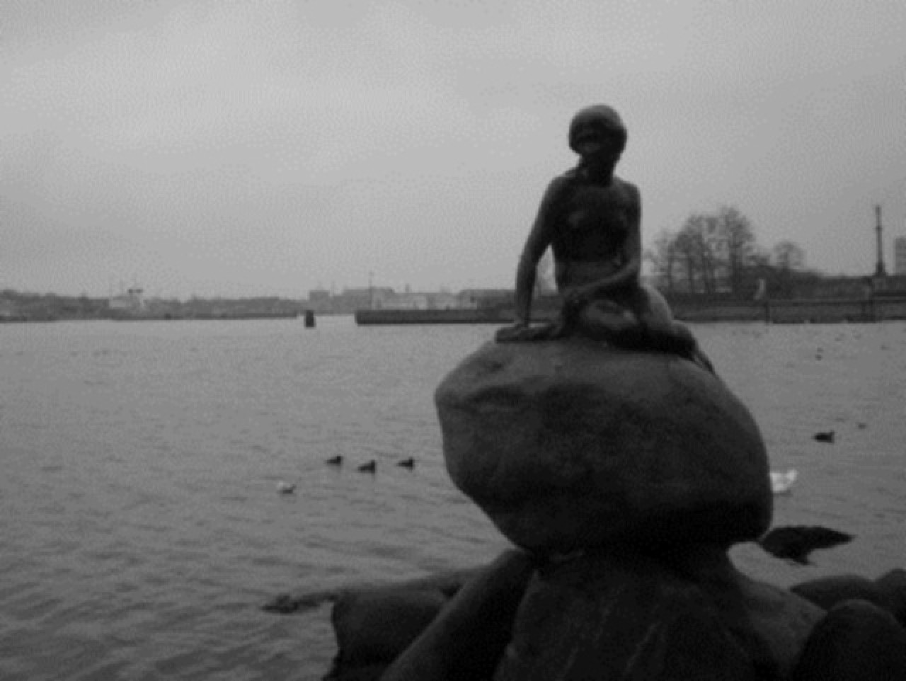 SAS renforce ses vols Lyon - Copenhague SAS renforce ses vols Lyon - Copenhague