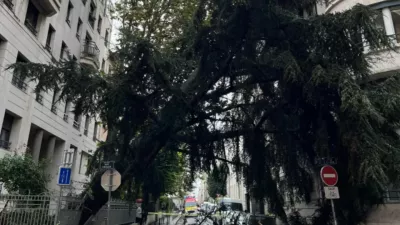 Intempéries : un arbre tombe sur la façade d'un immeuble à Lyon | mLyon