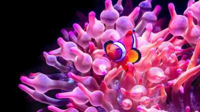 L'Aquarium de Lyon s'agrandit : une extension de 1 400 m2 à découvrir dès ce jeudi | mLyon