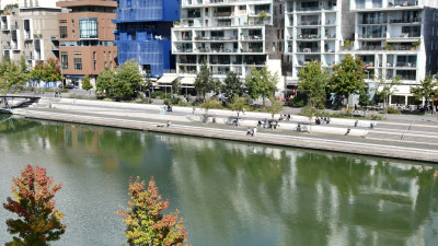 Une piscine naturelle bientôt installée à la Darse de Confluence à Lyon ? | mLyon