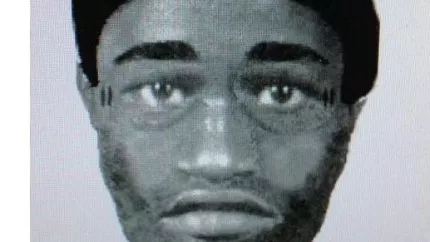 Un faux portrait robot du violeur en s&eacute;rie du 8e arrondissement de Lyon circule