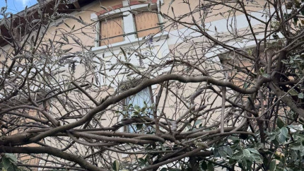 Lyon : le festival des Glycines&hellip; sans glycines