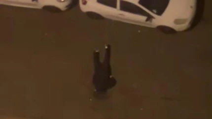 Tirs en pleine nuit pr&egrave;s de Lyon : la tension monte