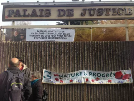 La nullité des poursuites requise pour le vigneron qui avait refusé de traiter ses vignes dans le Beaujolais