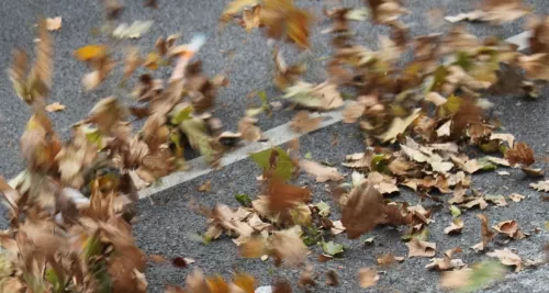 Météo : de fortes rafales de vents prévues samedi soir dans le Rhône