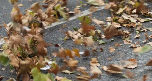 Des rafales de vent jusqu’à 90km/h attendues à Lyon vendredi