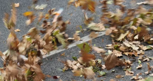 Gros coup de vent à Lyon : des rafales à près de 110km/h attendues mardi