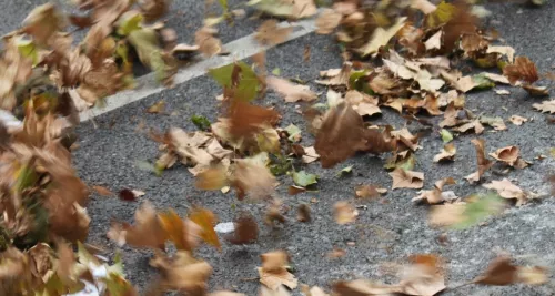 Météo : le vent va souffler sur Lyon samedi après-midi