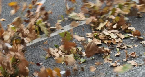 Météo : le vent va souffler fort sur Lyon jusqu’à la fin du week-end